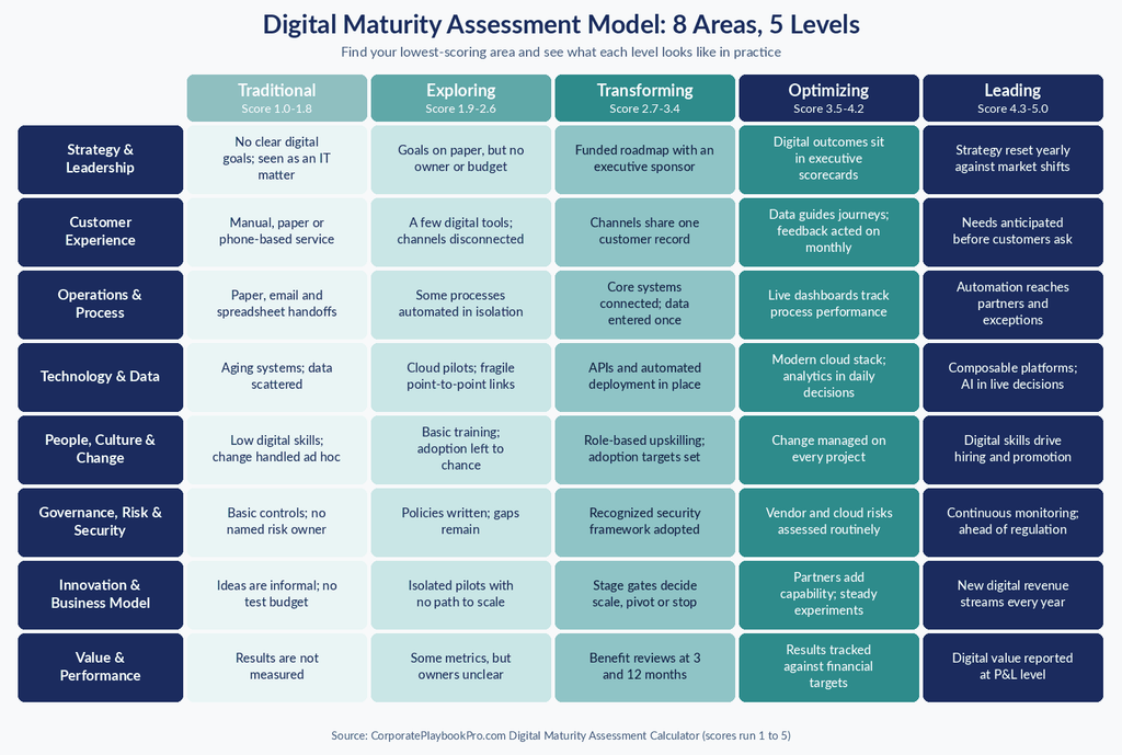 Digital maturity assessment model 8 dimensions X 5 levels